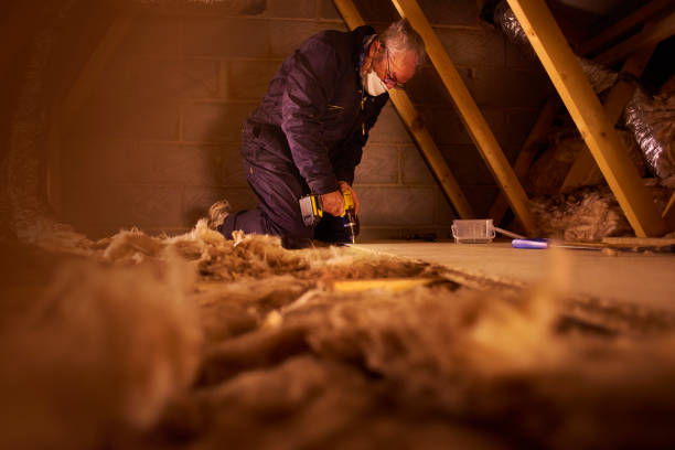 Best Cellulose Insulation in Blythe, CA